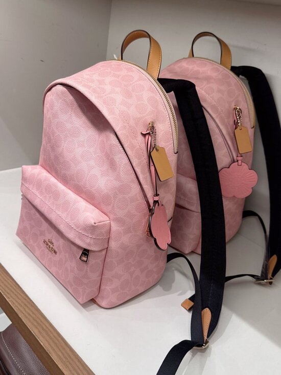 NWT Coach CEF46 Taylor Small Backpack In Signature Canvas With Charms pink main image 10